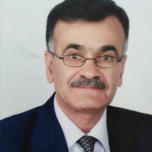 عبدالرحمن المصري